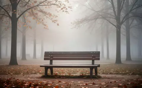 Eine leere Parkbank in einem nebligen Herbstpark als Symbol für Einsamkeit und soziale Isolation. - Foto: über boerse-global.de