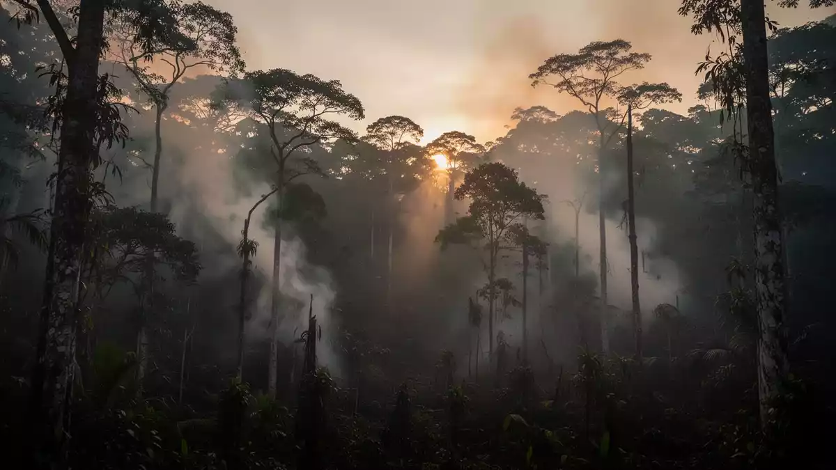 Waldbrände auf Borneo: Pertamina verteilt Masken und Vitamine