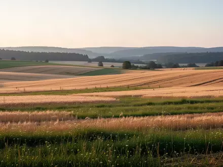 Weite, hügelige Agrarlandschaft in Hessen bei Sonnenaufgang mit Feldern und Wiesen. - Foto: über boerse-global.de