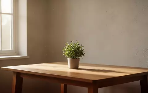 Ein minimalistischer, lichtdurchfluteter Raum mit einer kleinen Zimmerpflanze auf einem Holztisch, der Ruhe und Gelassenheit ausstrahlt. - Foto: über boerse-global.de