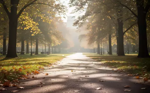 Ein sonnendurchfluteter Parkweg im Herbst, der eine ruhige und lichtdurchflutete Umgebung darstellt. - Foto: über boerse-global.de