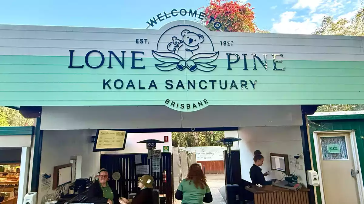Das Lone Pine Koala Sanctuary lockt Besucher aus aller Welt. - Bild: Carola Frentzen/dpa