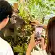 Besucher können im Lone Pine Koala Sanctuary einen «Koala Moment» buchen. - Bild: Carola Frentzen/dpa