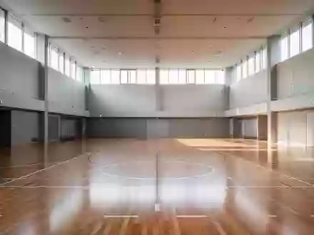 Leere moderne Sporthalle mit hellem Holzboden und einfallendem Tageslicht. - Foto: über boerse-global.de