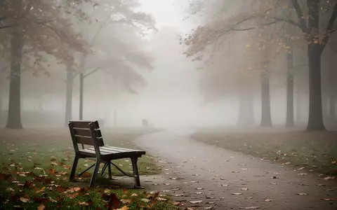 Ein einsamer Parkbank in einer herbstlichen Landschaft bei Morgennebel, der eine ruhige und nachdenkliche Stimmung vermittelt. - Foto: über boerse-global.de