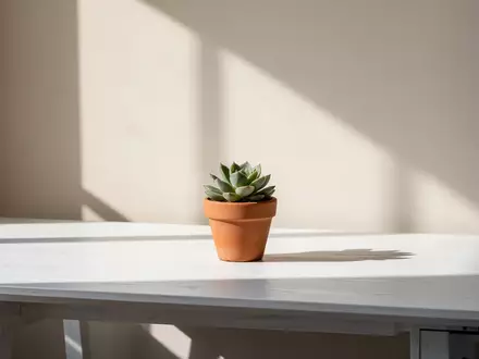 Ein minimalistischer, sonnendurchfluteter Schreibtisch mit einer kleinen Sukkulente in einem Tontopf vor einer leeren Wand. - Foto: über boerse-global.de