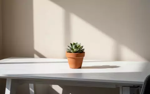Ein minimalistischer, sonnendurchfluteter Schreibtisch mit einer kleinen Sukkulente in einem Tontopf vor einer leeren Wand. - Foto: über boerse-global.de