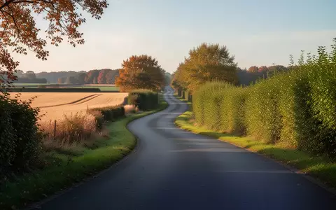 Eine kurvenreiche Landstraße im herbstlichen Westmünsterland unter einem klaren Nachmittagshimmel. - Foto: über boerse-global.de