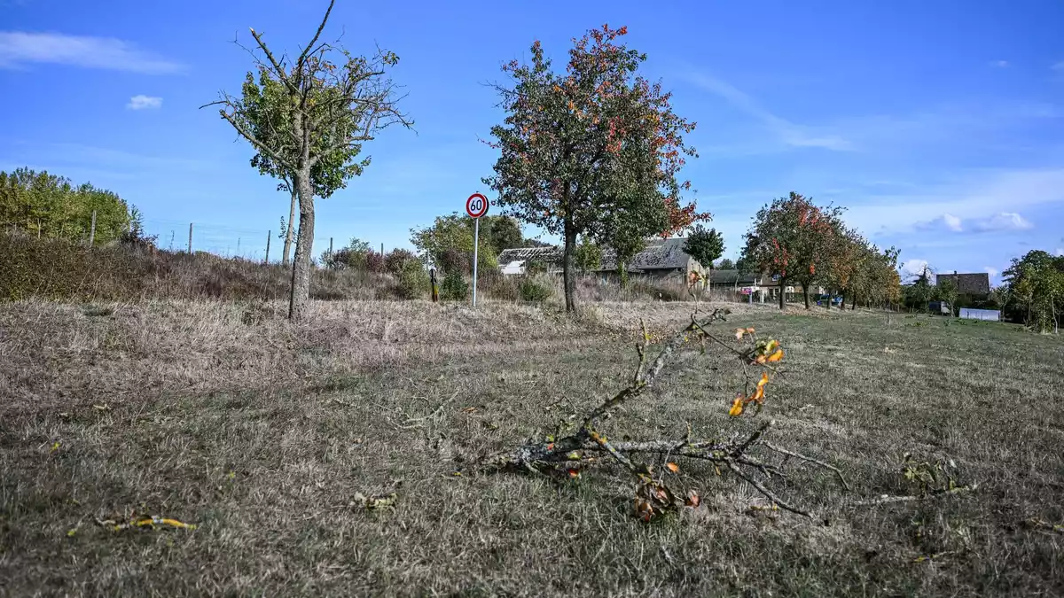 Vor dem Absturz hatte es einen Baum gestreift.  - Bild: Marius Bulling/onw-images/dpa