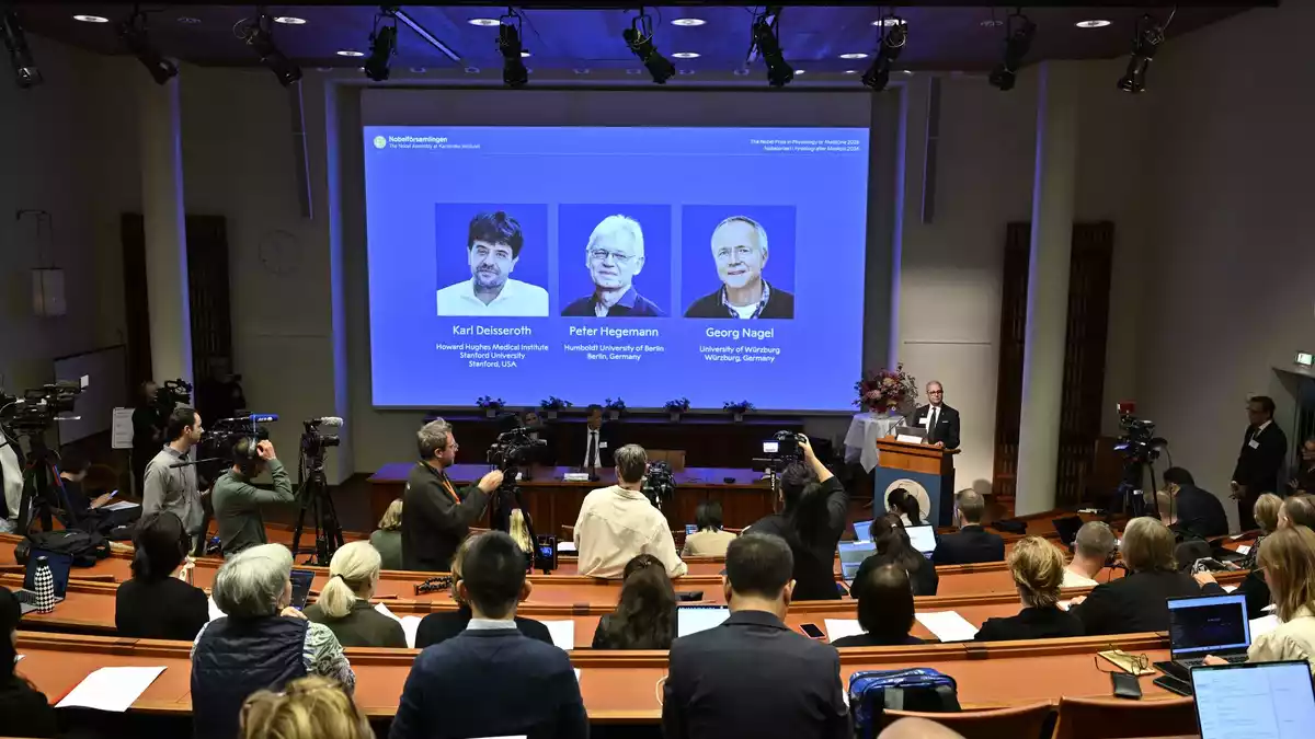 Der Nobelpreis für Medizin geht in diesem Jahr an die beiden Deutschen Peter Hegemann und Georg Nagel sowie den US-Forscher Karl Deisseroth. - Bild: Pontus Lundahl/TT News Agency/AP/dpa