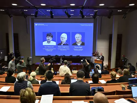 Der Nobelpreis für Medizin geht in diesem Jahr an die beiden Deutschen Peter Hegemann und Georg Nagel sowie den US-Forscher Karl Deisseroth. - Foto: Pontus Lundahl/TT News Agency/AP/dpa