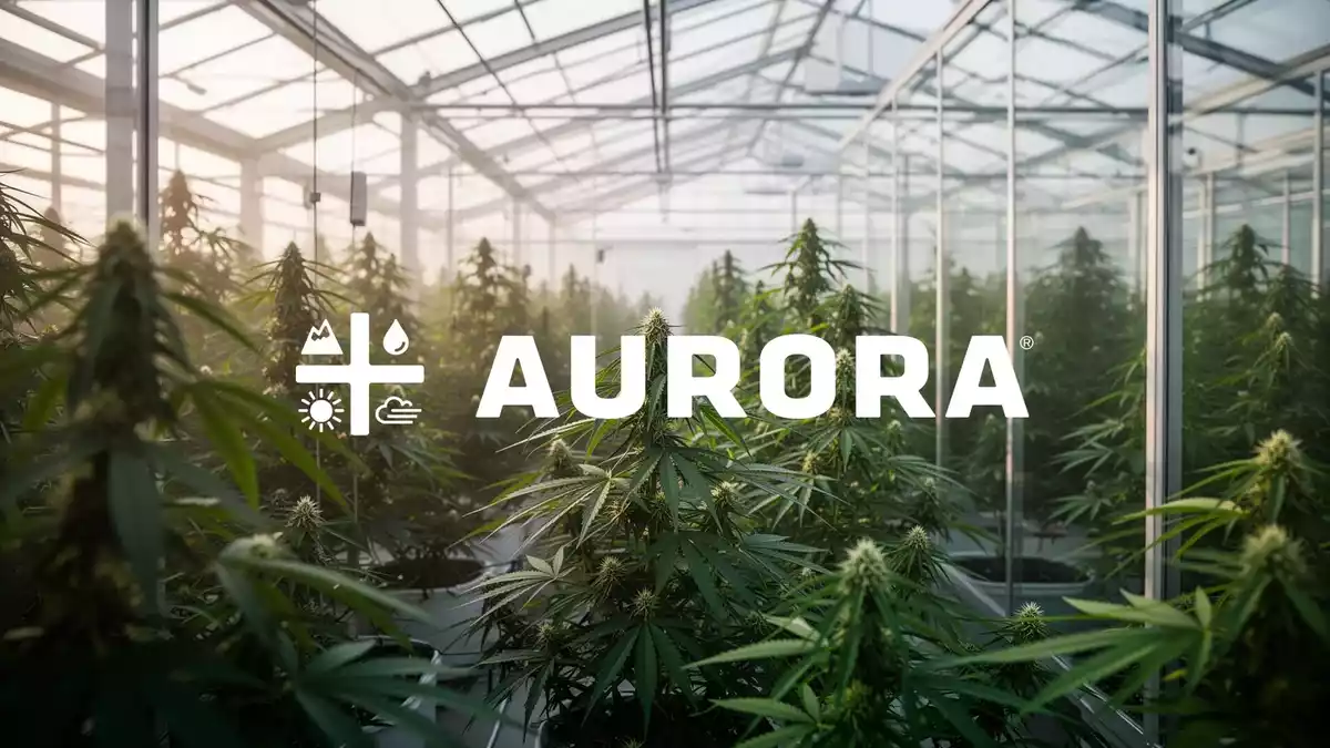 Curaleaf erhöht Aurora-Cannabis-Angebot auf bis zu sechs US-Dollar je Aktie