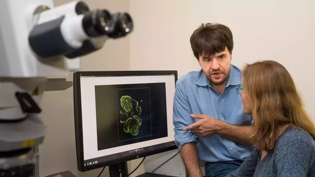 «Unglaublich überraschend und beglückend», sagt der Forscher über die Ehrung. - Bild: Steve Fisch/Stanford University/dpa