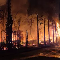 Meterhoch schlugen die Flammen am Campingplatz «Bella Italia».  - Foto: Florian Blaes/dpa