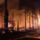 Meterhoch schlugen die Flammen am Campingplatz «Bella Italia».  - Bild: Florian Blaes/dpa