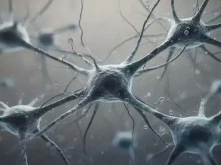 Mikroskopische Aufnahme von neuronalem Gewebe und zellulären Strukturen in einem Labor. - Foto: über boerse-global.de