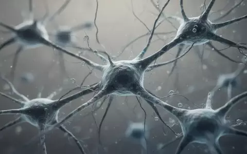 Mikroskopische Aufnahme von neuronalem Gewebe und zellulären Strukturen in einem Labor. - Foto: über boerse-global.de