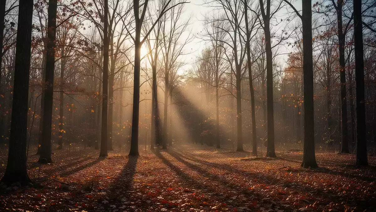 Vitamin D im Herbst: Versorgung, Risiken und sichere Dosierung
