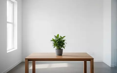 Minimalistisches, helles Bürointerieur mit einer einzelnen Zimmerpflanze auf einem Holztisch bei natürlichem Tageslicht. - Foto: über boerse-global.de