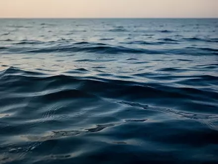 Eine ruhige Meeresoberfläche bei Sonnenaufgang, die die natürliche Quelle mariner Omega-3-Fettsäuren symbolisiert. - Foto: über boerse-global.de