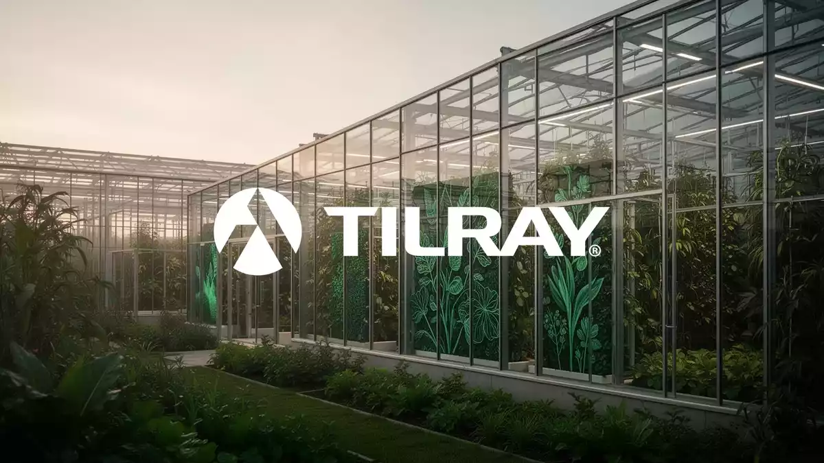 Tilray-Aktie steigt vor Quartalszahlen, Profitabilität bleibt Herausforderung