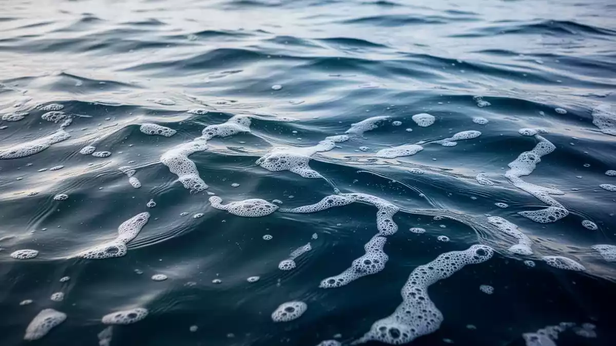 Omega-3-Präparate: EPA, DHA, Dosierung und Qualität richtig bewerten