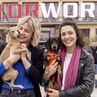 DogWorld 2026: Münchens großes Community-Event mit Messe und internationalem DackelRace - Foto: presseportal.de