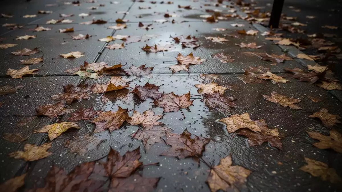 Herbstlaub auf Gehwegen: Wer räumen muss und wann Versicherungen greifen