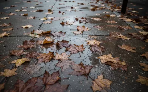 Nasses, rutschiges Herbstlaub auf einem dunklen Gehweg nach einem Regenschauer. - Foto: über boerse-global.de