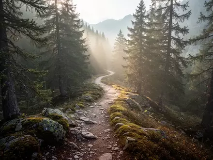 Ein gewundener Bergpfad führt durch einen nebligen Nadelwald, der Ruhe und Ausgeglichenheit ausstrahlt. - Foto: über boerse-global.de