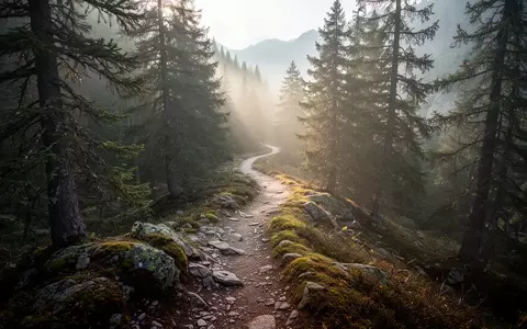 Ein gewundener Bergpfad führt durch einen nebligen Nadelwald, der Ruhe und Ausgeglichenheit ausstrahlt. - Foto: über boerse-global.de