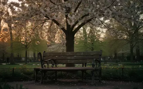 Symbolbild: Parkbank unter einem blühenden Baum - Foto: über boerse-global.de