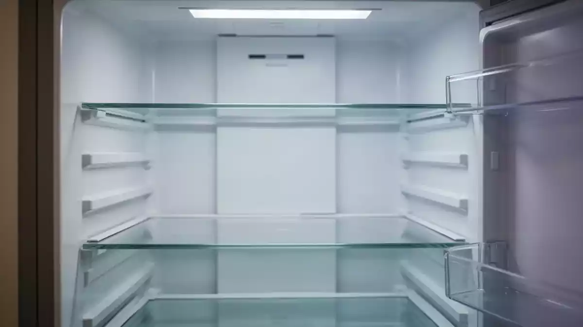 Lebensmittel im Kühlschrank: Behälter, Temperaturen und Haltbarkeit