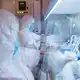 Der Tod einer Mitarbeiterin des Instituts in Irkutsk sorgt international für Schlagzeilen. (Archivbild) - Bild: Uncredited/The Irkutsk Anti-Plague Research Institute of Siberia and Far East/AP/dpa