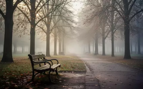 Eine einsame Parkbank in einer nebligen, herbstlichen Parkanlage bei natürlichem Morgenlicht. - Foto: über boerse-global.de
