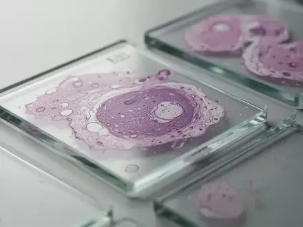 Nahaufnahme von biologischen Gewebeproben auf Objektträgern in einem Labor. - Foto: über boerse-global.de
