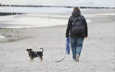 Strand (Archiv) - Foto: via dts Nachrichtenagentur