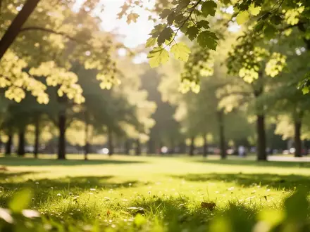 Ein sonnendurchfluteter Park mit unscharfem Hintergrund, der die Bedeutung von Tageslicht für die Augengesundheit symbolisiert. - Foto: über boerse-global.de