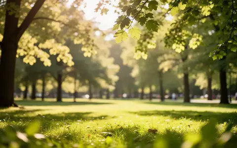 Ein sonnendurchfluteter Park mit unscharfem Hintergrund, der die Bedeutung von Tageslicht für die Augengesundheit symbolisiert. - Foto: über boerse-global.de