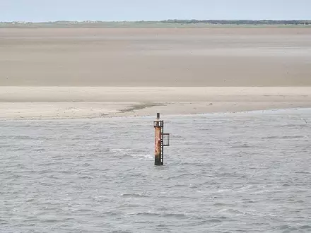 Dalbe in der Nordsee (Archiv) - Foto: via dts Nachrichtenagentur