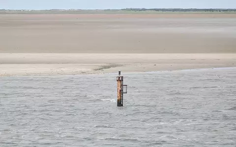 Dalbe in der Nordsee (Archiv) - Foto: via dts Nachrichtenagentur