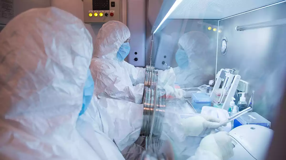 In Irkutsk werden mögliche Kontaktpersonen einer toten Wissenschaftlerin untersucht. (Archivbild)  - Bild: Uncredited/The Irkutsk Anti-Plague Research Institute of Siberia and Far East/AP/dpa