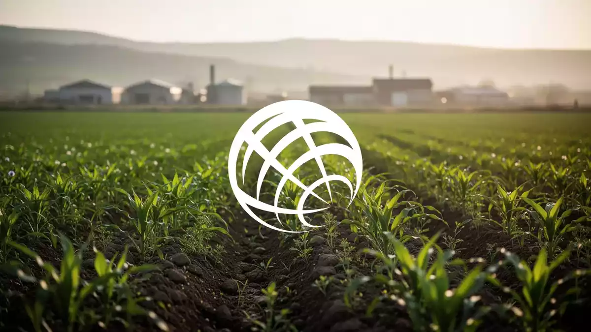 ProCredit Holding verliert 3,1 Prozent trotz operativer Vorhaben