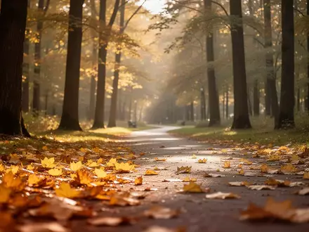Ein friedlicher, sonnendurchfluteter Waldweg mit herbstlichem Laub, der Ruhe und Ausgeglichenheit symbolisiert. - Foto: über boerse-global.de