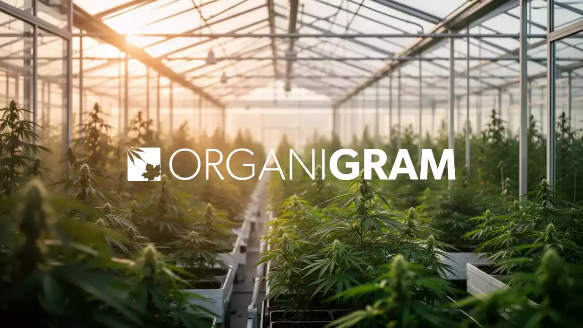 Organigram setzt auf Auslandsmärkte gegen Margendruck in Kanada