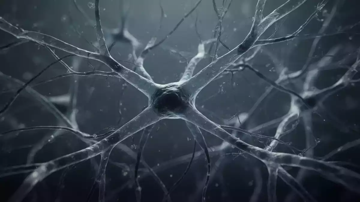 Alzheimer-Forschung: APOE-?4, Gefäßschäden und eine schützende Genvariante