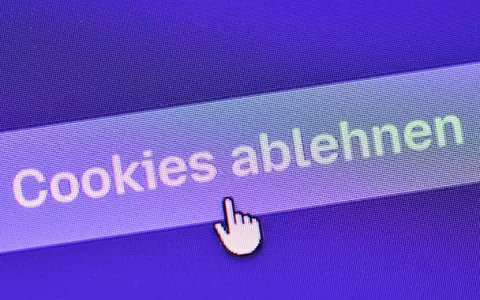 Am BGH geht es um Cookies. (Symbolfoto) - Foto: Patrick Pleul/dpa