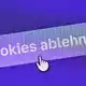 Am BGH geht es um Cookies. (Symbolfoto) - Bild: Patrick Pleul/dpa