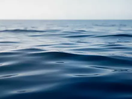 Ruhige, tiefblaue Meeresoberfläche als Symbol für die maritime Rohstoffquelle von Omega-3-Fettsäuren. - Foto: über boerse-global.de