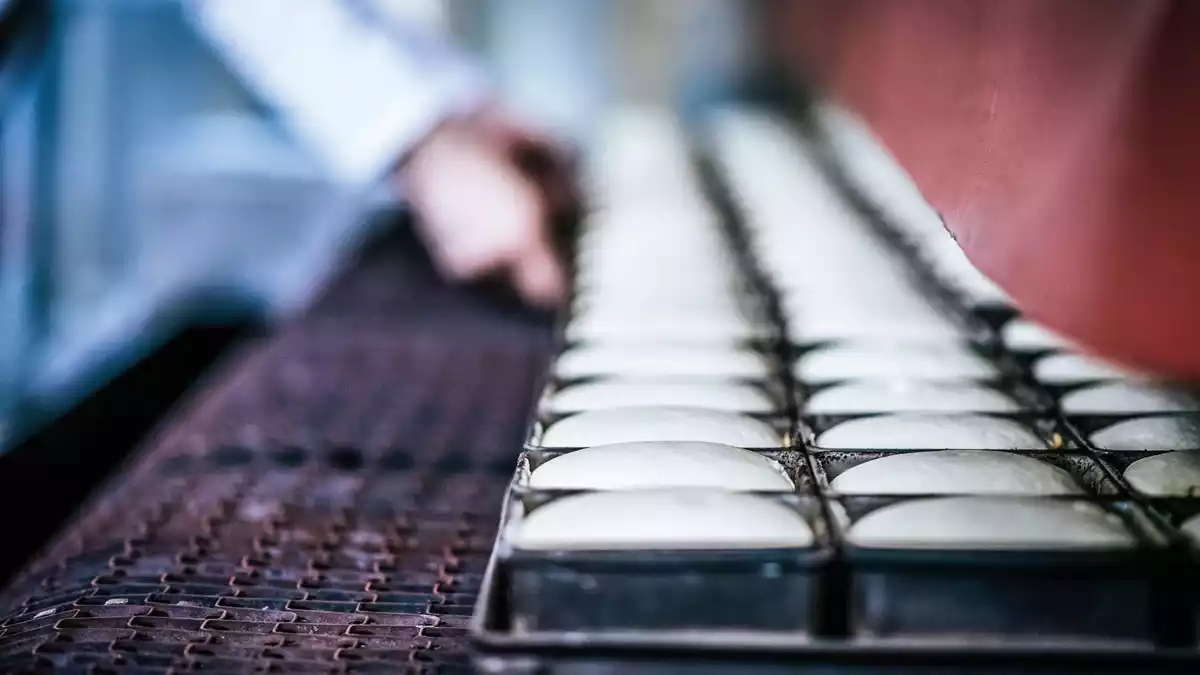 Morato Group, CEA Italia und Jaus Bakery bündeln ihre Kräfte und schaffen ein europäisches Kompetenzzentrums im Backwarensektor - Bild: presseportal.de